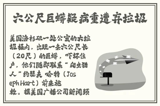 我的岳大人吴芬